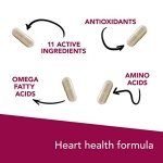VetriScience Laboratories Cardio Strength, 90 Capsules - Supports Blood Flow, Immune System and Energy Levels for Dogs and Cats - Image 6