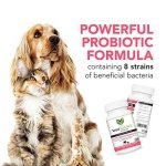 VetriScience Vetri Mega Probiotic and Prebiotic for Dogs and Cats, 180 Capsules - Digestive Relief - Easy to Give Capsules - GI Support - Image 5